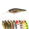 Spro Ikiru Shad 70 Long Lip 2 Spro Ikiru Shad 70 Long Lip -Winkel Voor Visbenodigdheden 2352031Spro Ikiru Shad 70 Long Lip 2