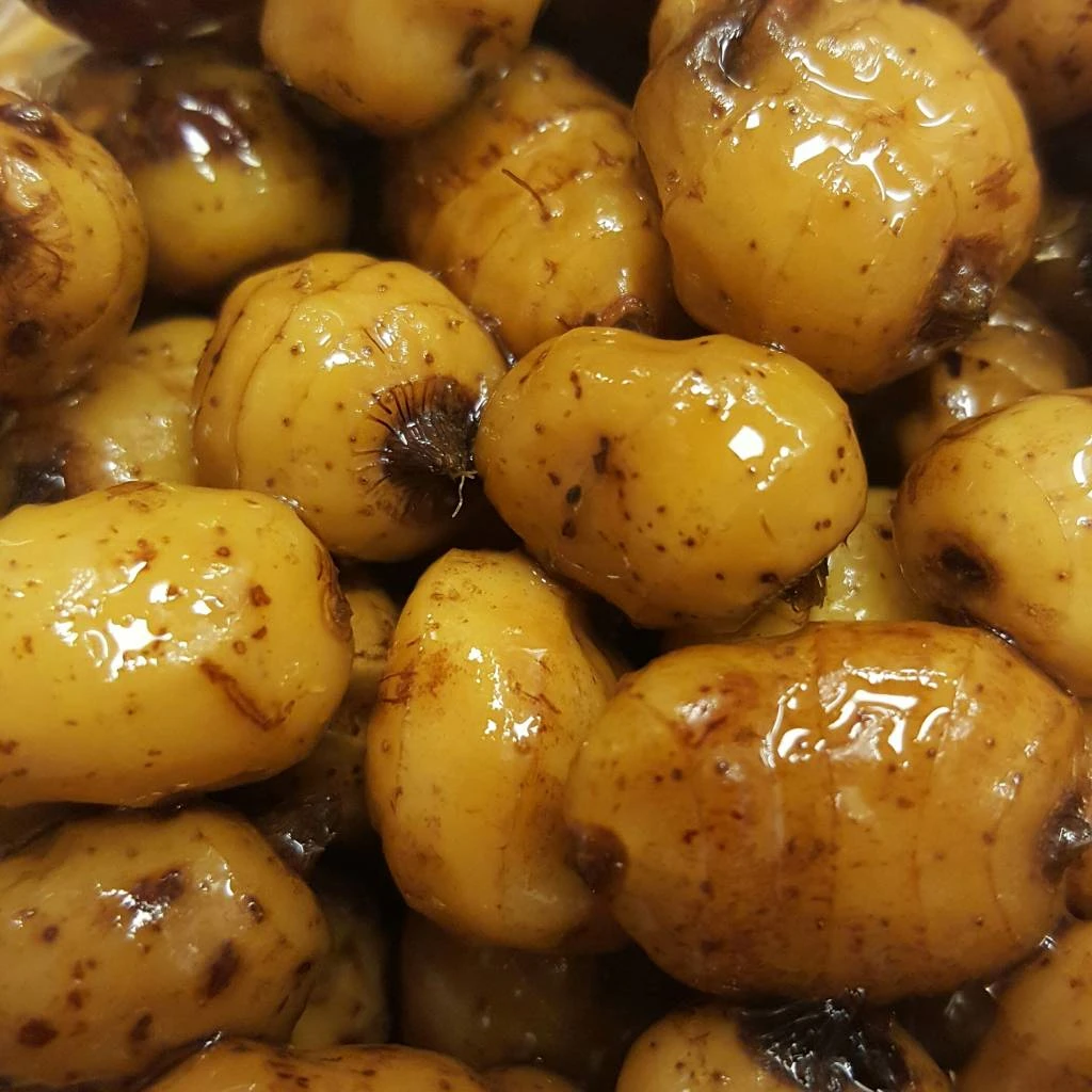 Tijgernoten Xxl 3 Tijgernoten Xxl